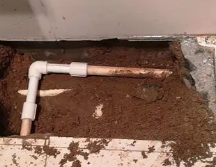 威海市测漏水哪家好