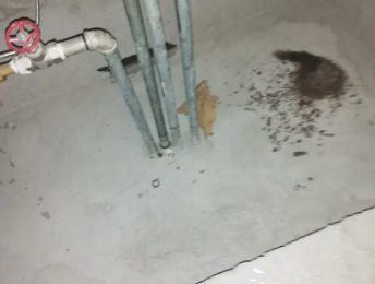 威海市卫生间测漏水价格明细